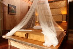The Cliff & River Jungle Resort