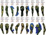 Evergreen Hills Golf Club & Resort - Layout