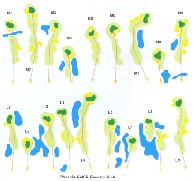 Phoenix Golf & Country Club - Layout