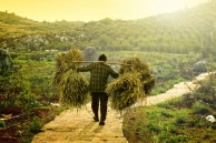 Vietnam Golf Trail