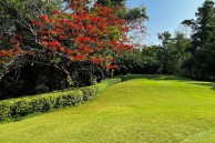 Dynasty Golf & Country Club