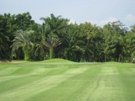 Rayong Green Valley Country Club