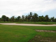 Vintage Golf Club