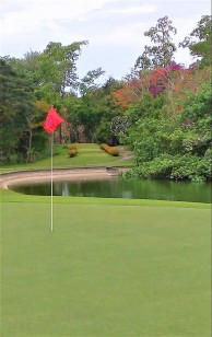 Calatagan Golf Club - Green