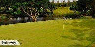 The Iloilo Golf & Country Club - Green