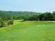 Kulim Golf & Country Resort  - Green