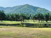 Mountain Shadow Golf Club - Fairway