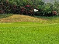 Mountain Shadow Golf Club - Green