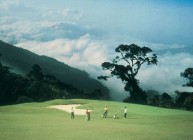 Awana Genting Highlands Golf & Country Resort - Green