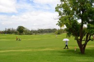Lao Country Club - Green